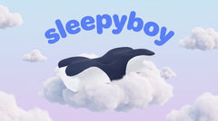 Original SleepyBoy